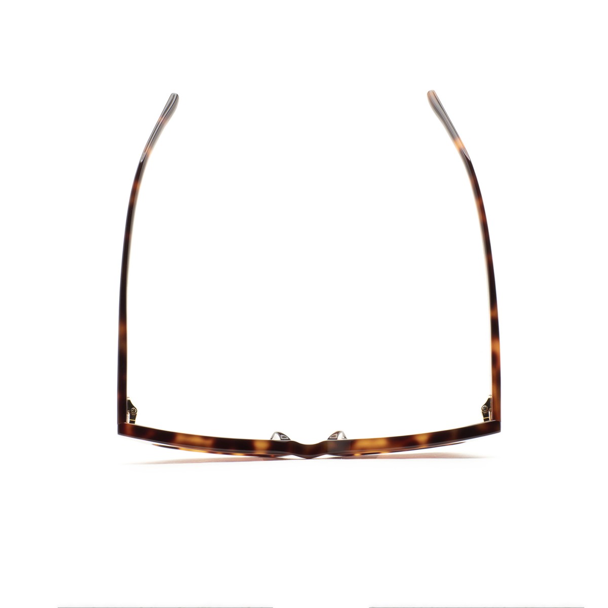 KALEOS WAINSCOTT 002 | Sunglasses | Vytria Eyewear
