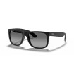 Justin RB4165 622T3
