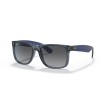 RAY BAN  RB4165 6596T3