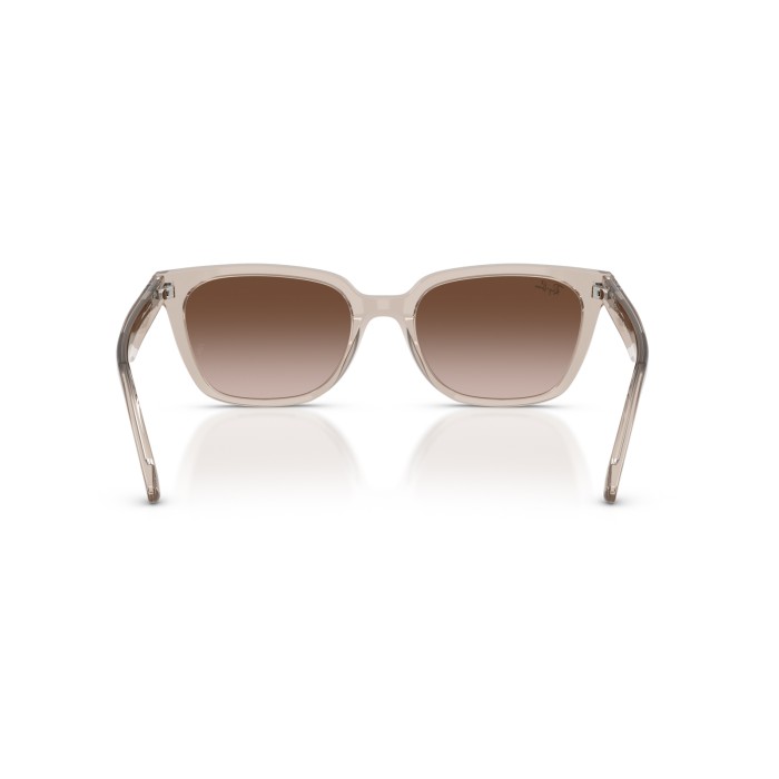 RAY BAN RB2243D 682713