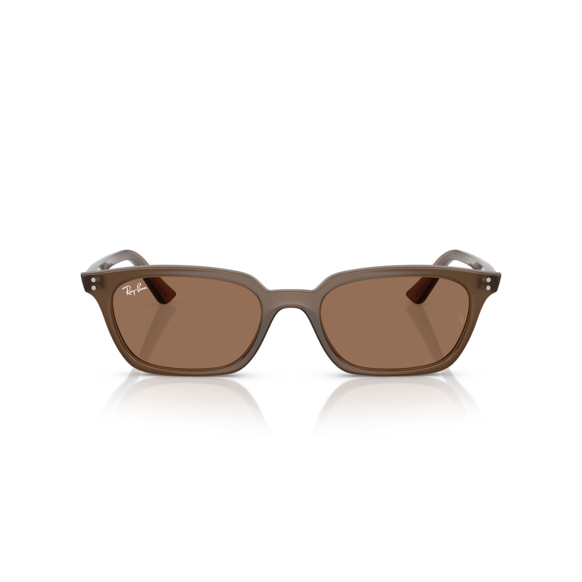 RAY BAN ZAYA RB4456 677973 | Gafas de sol | Vytria Eyewear