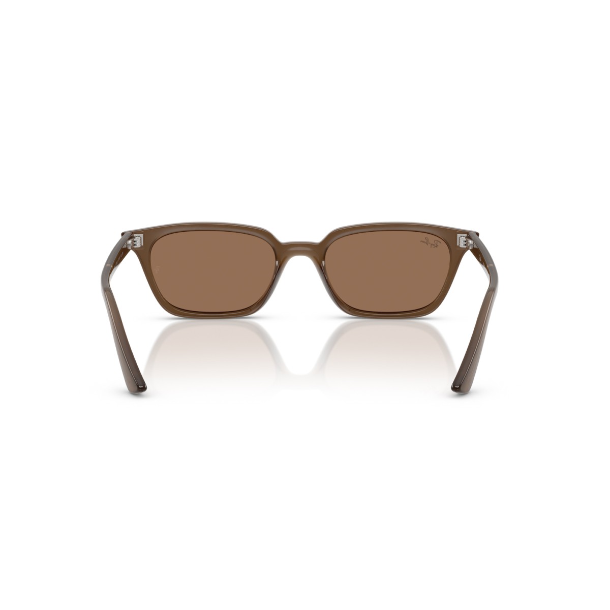 RAY BAN ZAYA RB4456 677973 | Gafas de sol | Vytria Eyewear