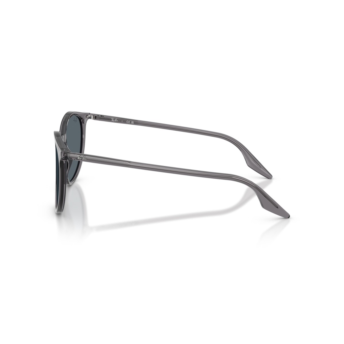 RAY BAN RB2204 1399R5 | Sunglasses | Vytria Eyewear