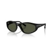 RAY BAN RB2228 62231