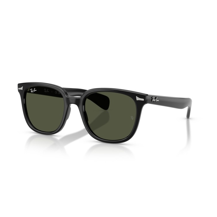 RAY BAN BRUNEL II RB2235 90131