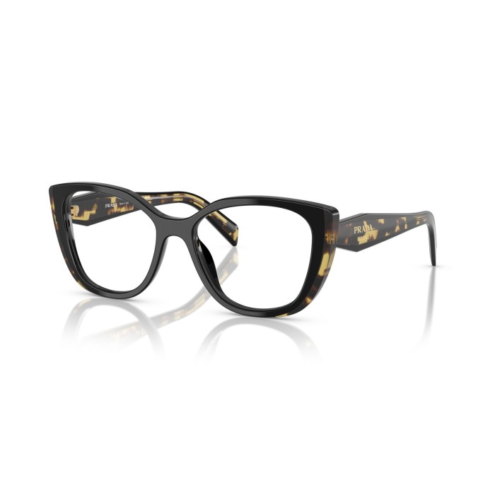 Prada Frames PR B04V 3891O1 