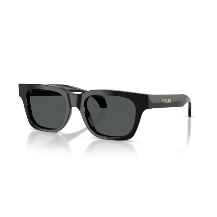 VERSACE VE4486 GB187
