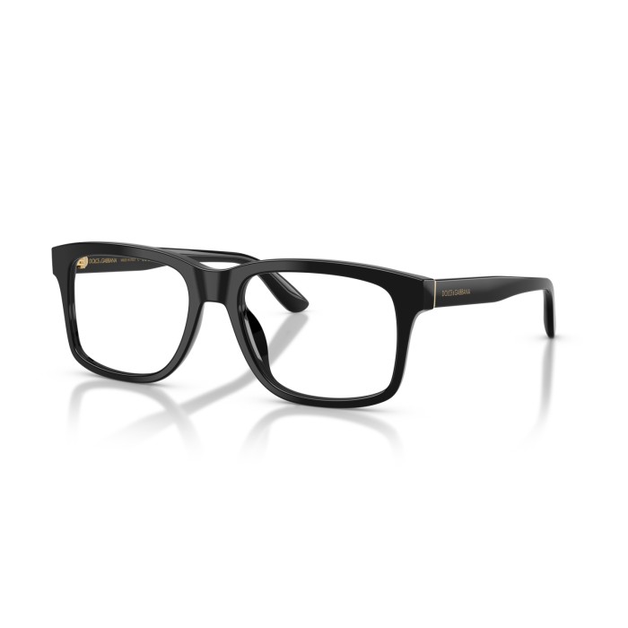 DOLCE GABBANA DG3453 501