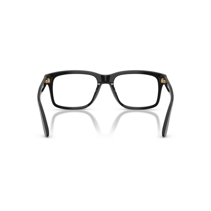 DOLCE GABBANA DG3453 501