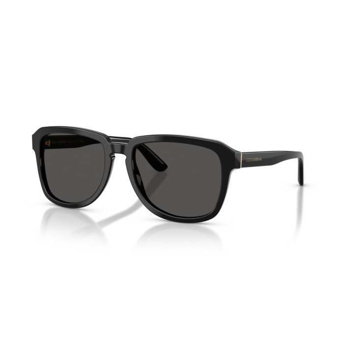 DOLCE GABBANA DG4566 50187 | Sunglasses | Vytria Eyewear