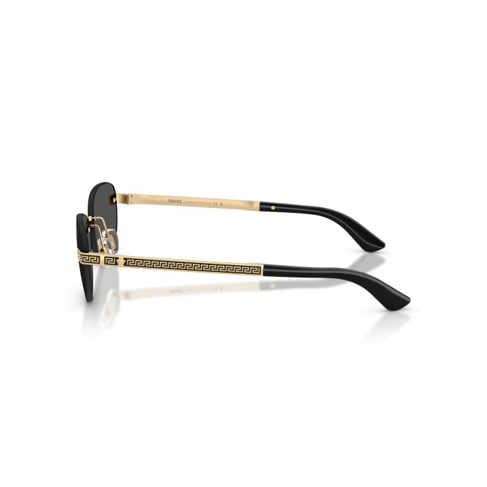 VERSACE VE2307 152387