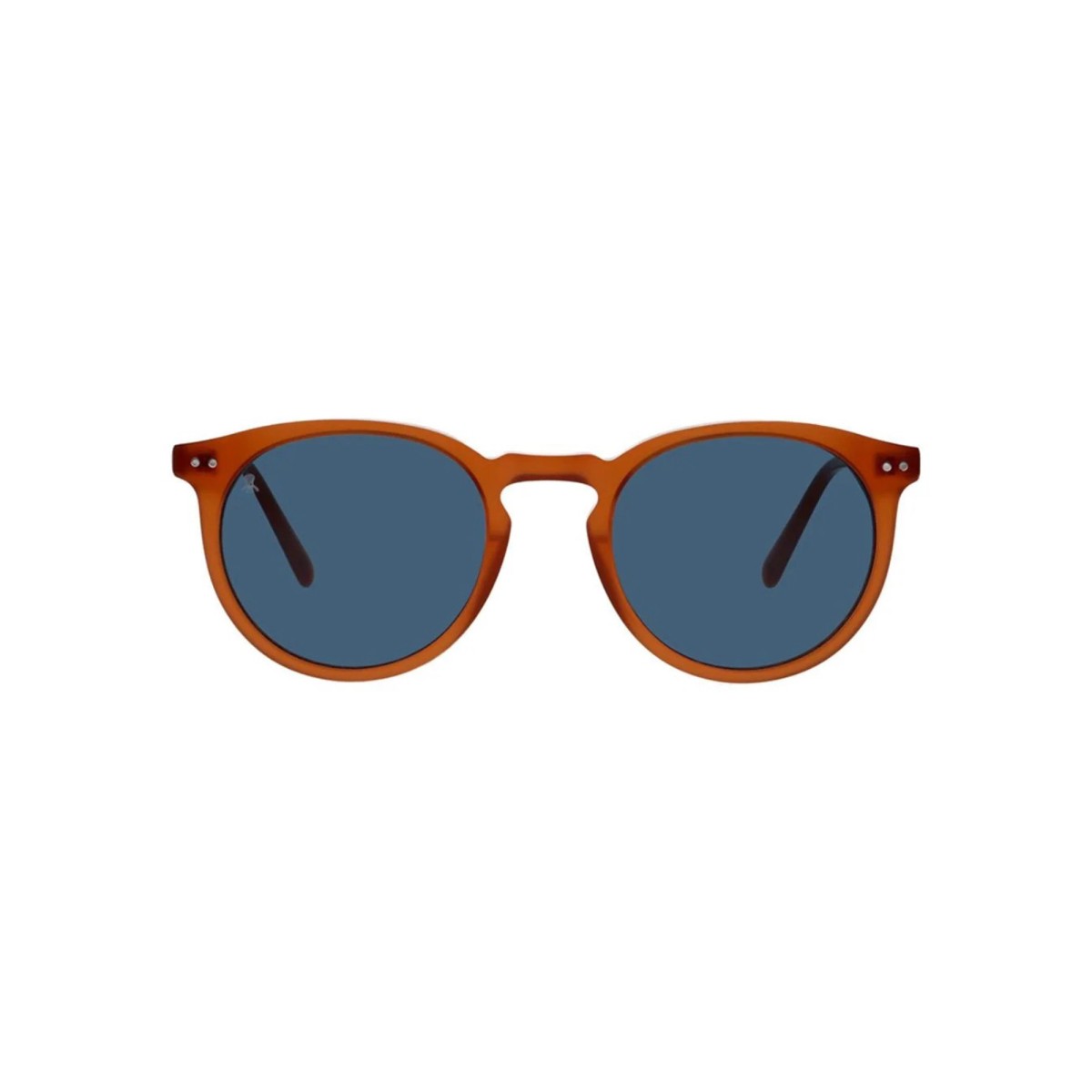 ELPULPO BRISA C5 | Sunglasses | Vytria Eyewear