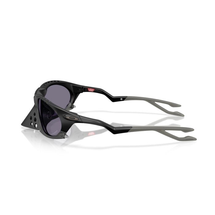 Plantaris OO9437 01
