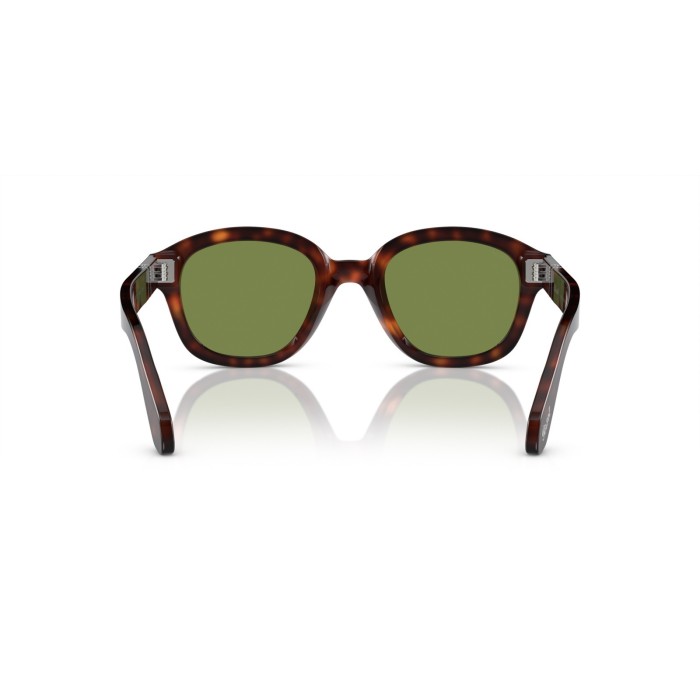 PO0060S 244E