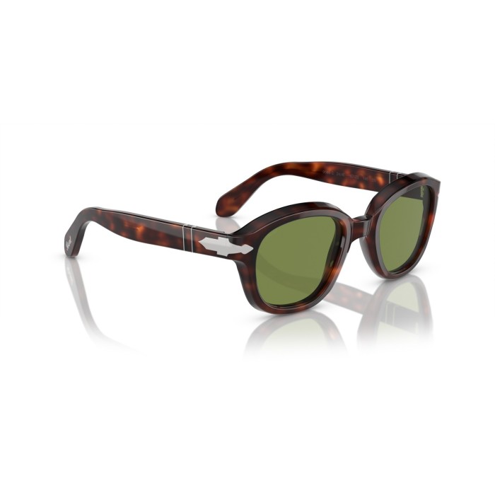 PO0060S 244E