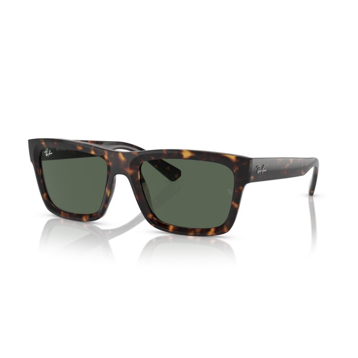 Sunglasses Ray Ban Warren