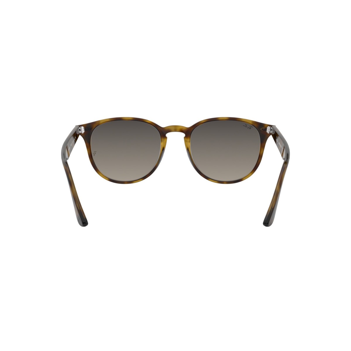 Ray Ban RB4259 71011 | Ray Ban Sunglasses | Vytria
