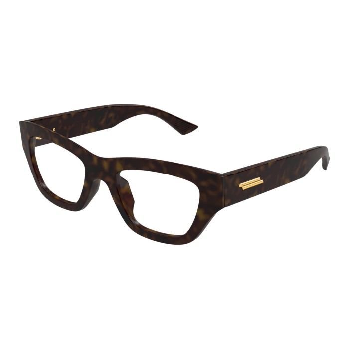 Bottega Veneta BV1360O 003 Frames