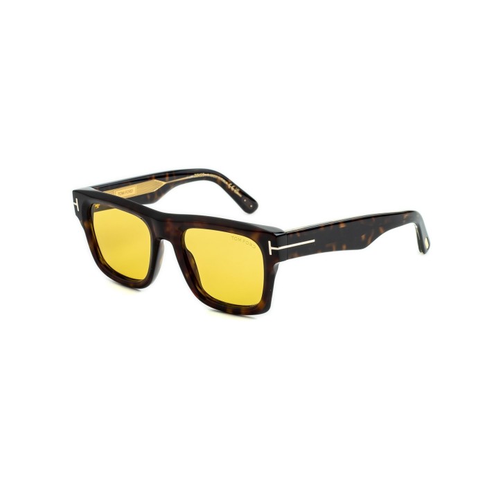 Tom Ford Sunglasses Icon FT1200 52E