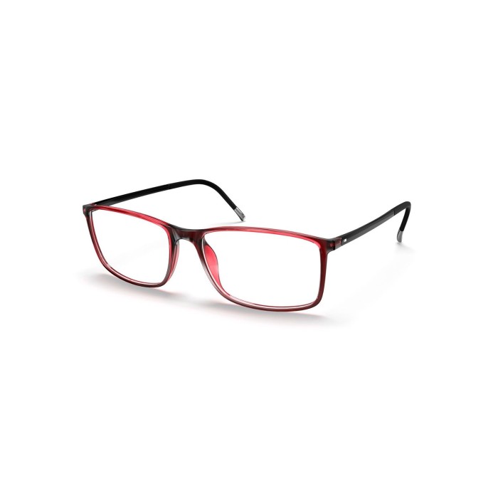 Optical Frame SILHOUETTE 2204 6059