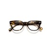 Hazen Classic Havana Optical