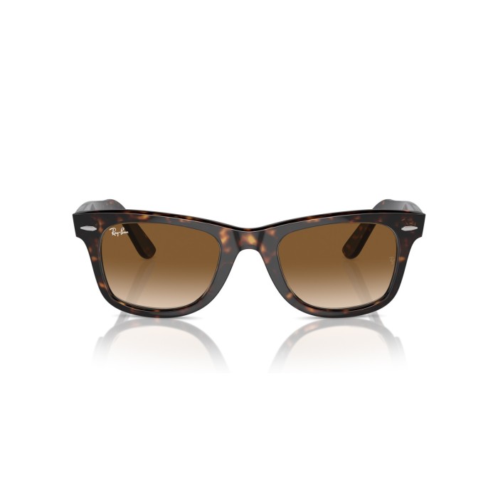 Wayfarer RB2140 90251