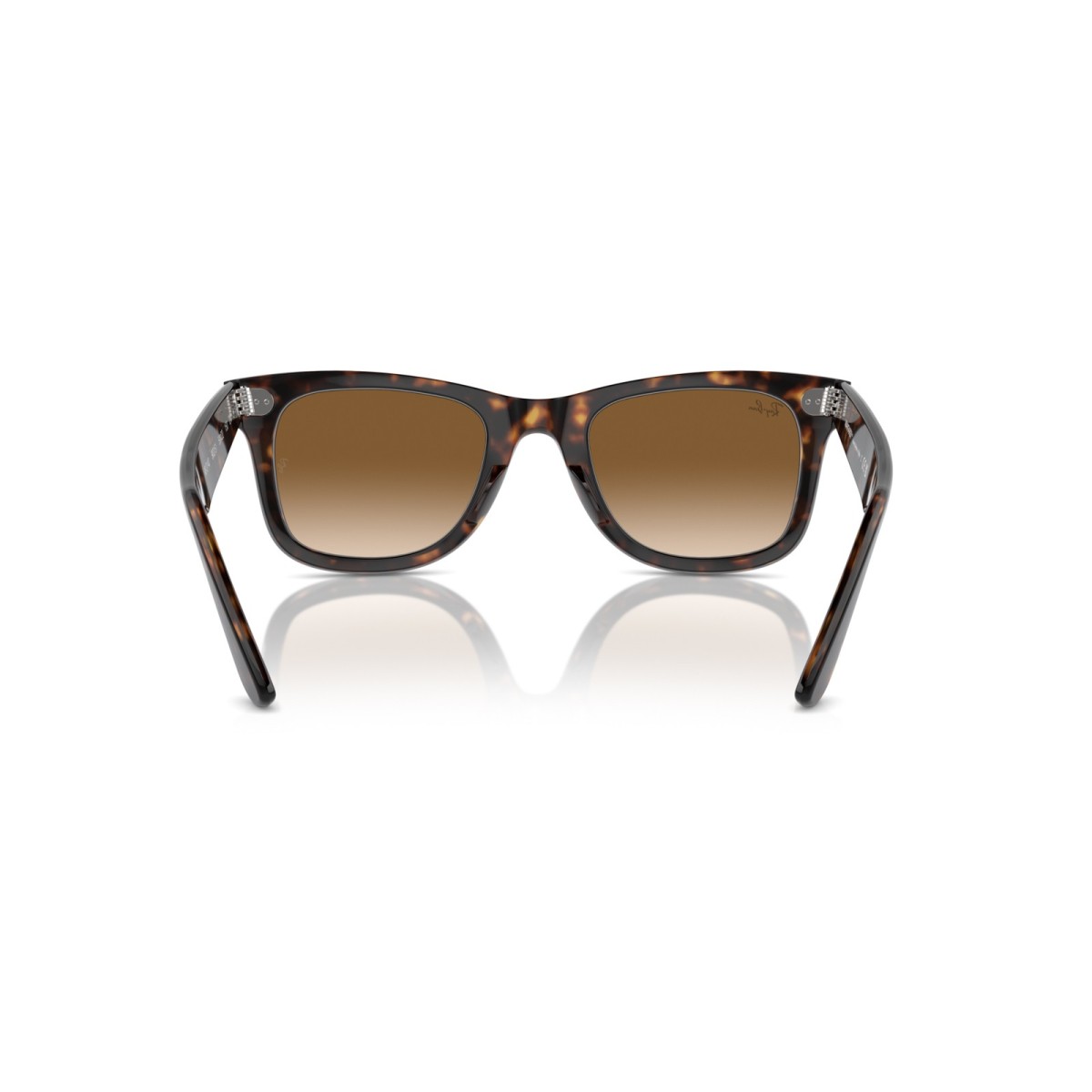 Ray-Ban Wayfarer RB2140 90251 | Gafas de sol | Vytria Eyewear