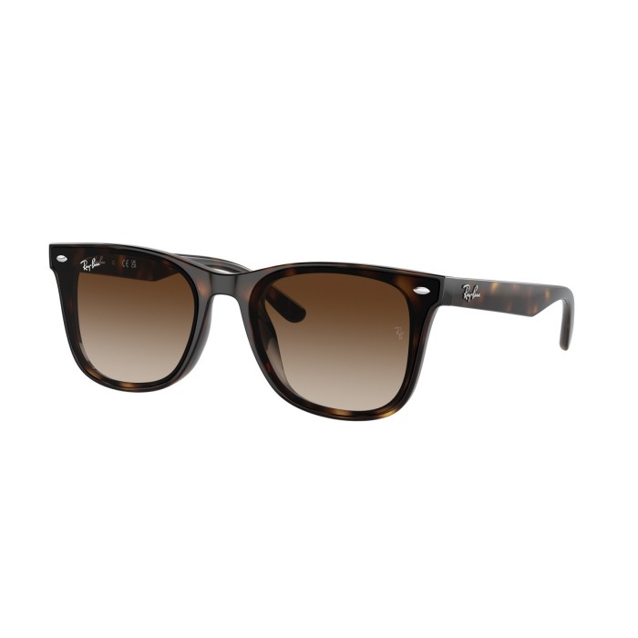 Ray Ban RB4420 Sunglasses Havana