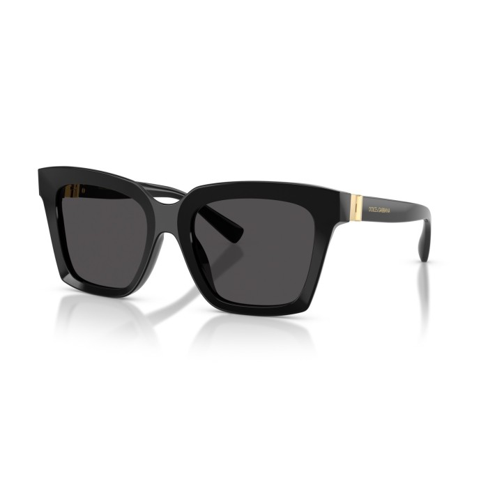 Sunglasses Dolce & Gabbana DG4498 50187