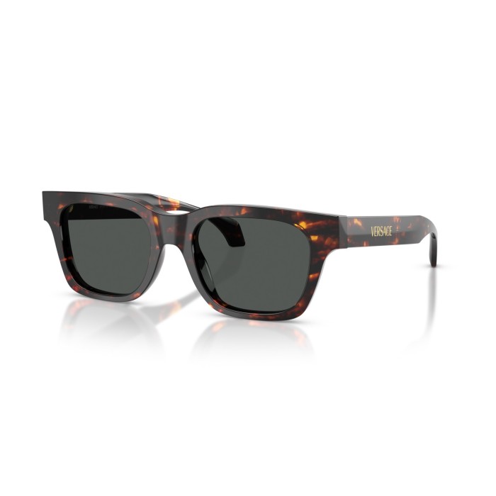 Gafas de sol Versace VE4486 550987