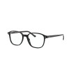 Leonard RB5393 2000