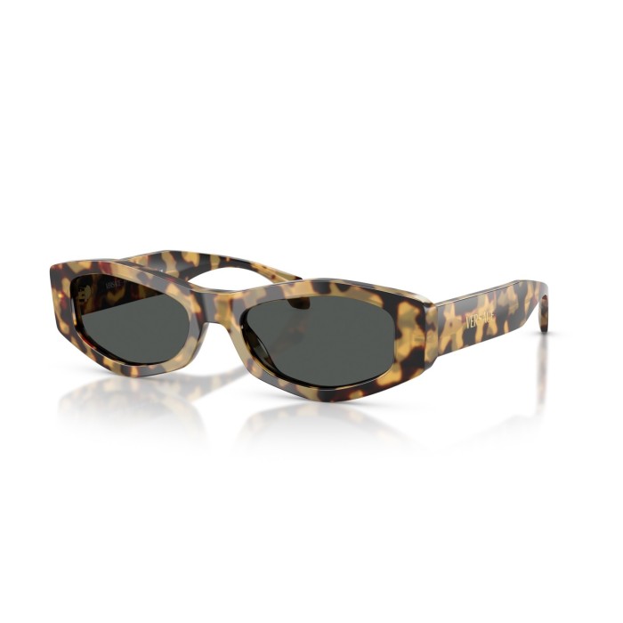 Gafas de sol Versace VE4487 777/87