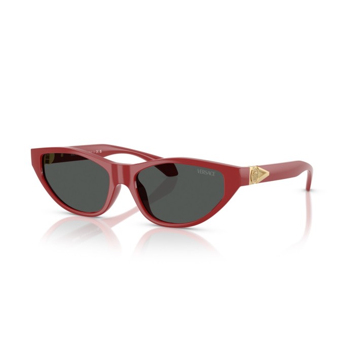 Sunglasses Versace VE4491U 538887