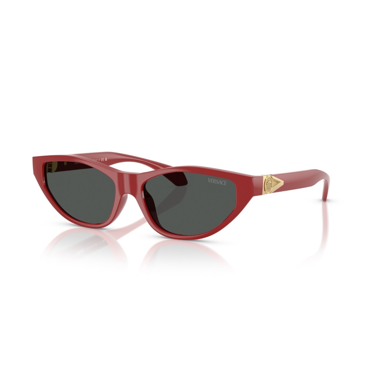 Sunglasses Versace VE4491U 538887