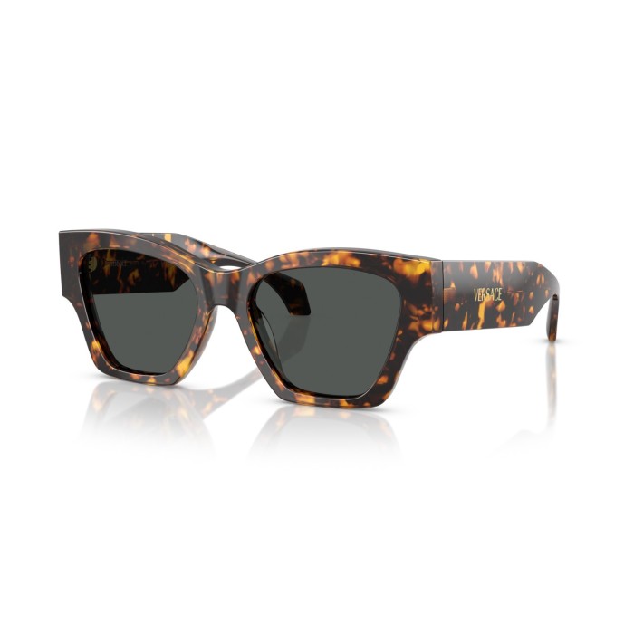 Sunglasses Versace VE4492U 551487 