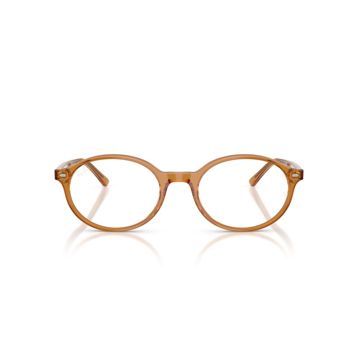 Ray Ban German RB5429 8439 | Monturas Redondas | Vytria Eyewear