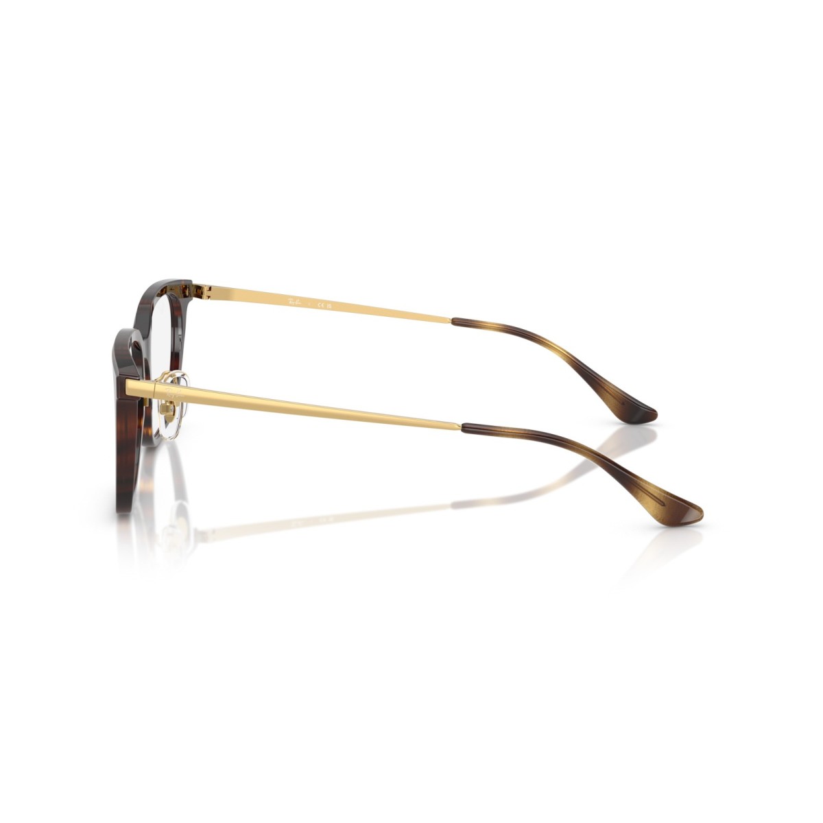 Ray Ban RB5442D 2012 | Monturas Ópticas | Vytria Eyewear