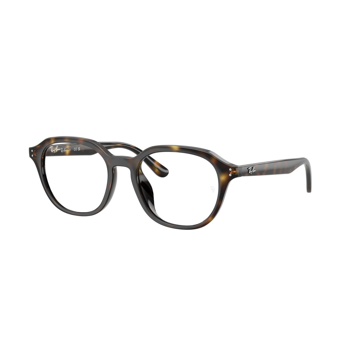 Ray Ban RB7259D 2012
