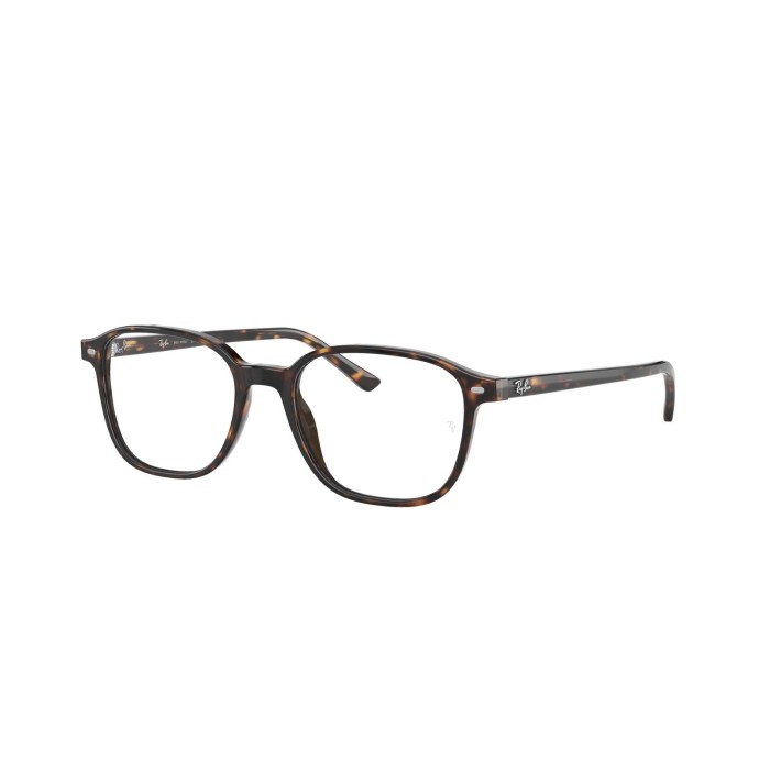Ray Ban Leonard Optical Frames RB2193