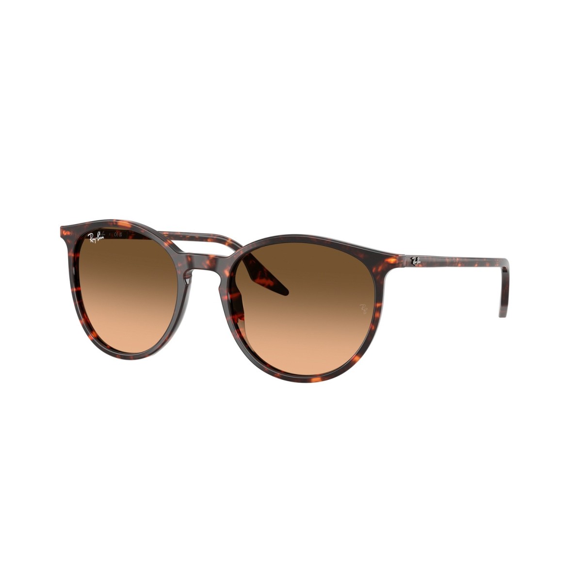 Gafas de sol Ray-Ban RB2204 14293B