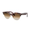Clubmaster Way RB2341 143251