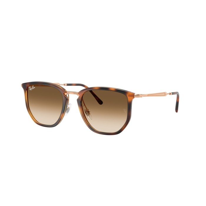 Ray Ban RB4451 630451 Sunglasses