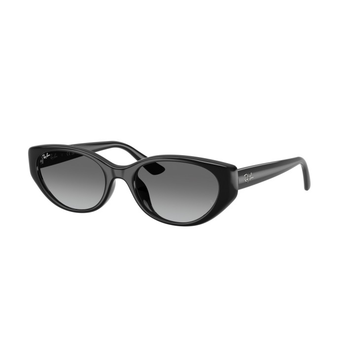 Gafas de sol Ray-Ban RB4457D 667711