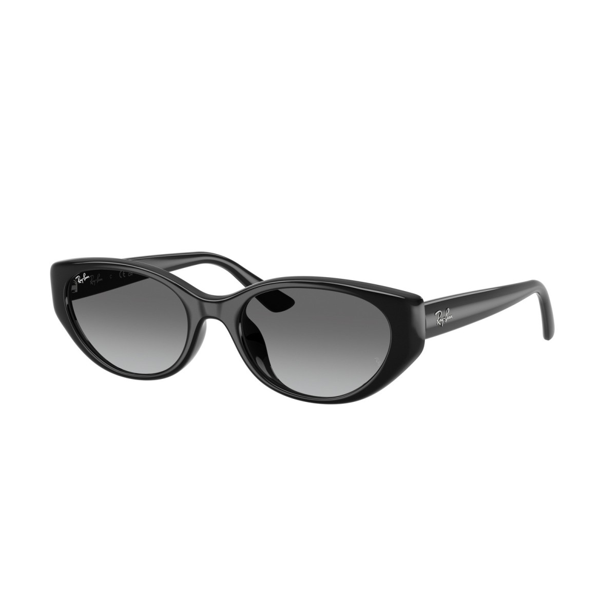 Sunglasses Ray-Ban RB4457D 667711