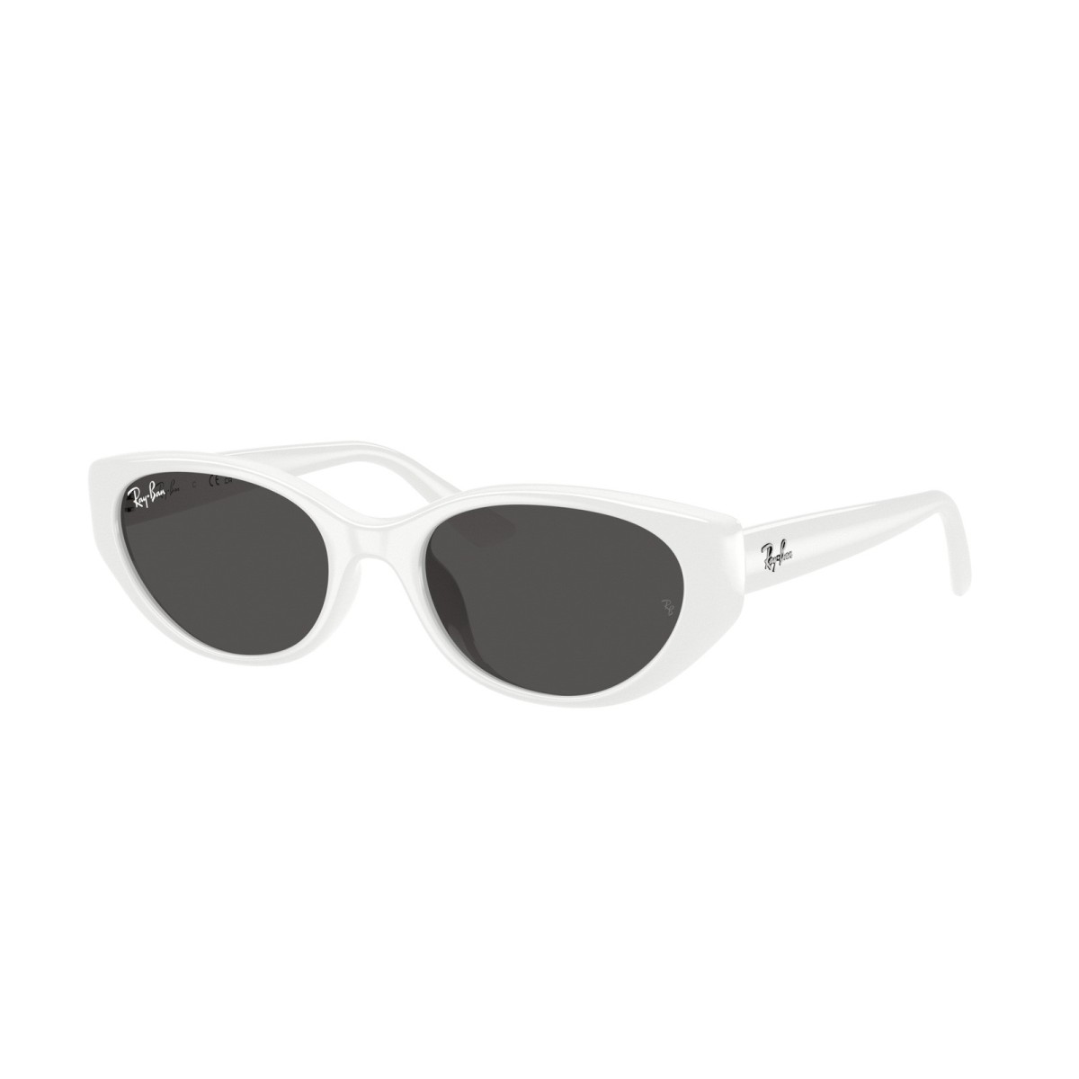 Ray-Ban RB4457D 6677287 Sunglasses