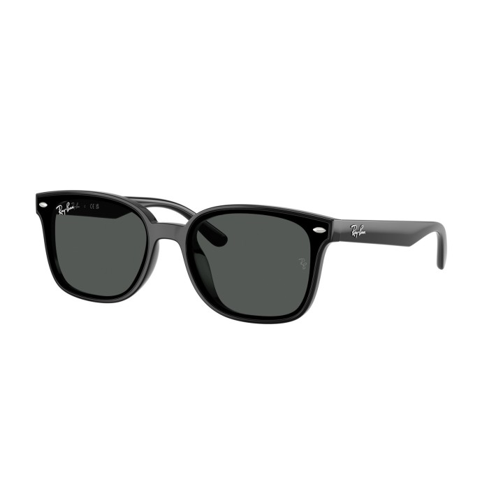 Ray Ban RB4461D 60187 Sunglasses