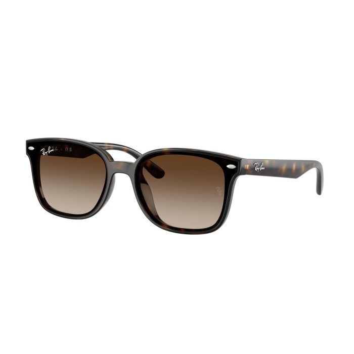 Ray Ban RB4461D 71013 Sunglasses