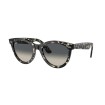 Wayfarer Way RB2241 133371