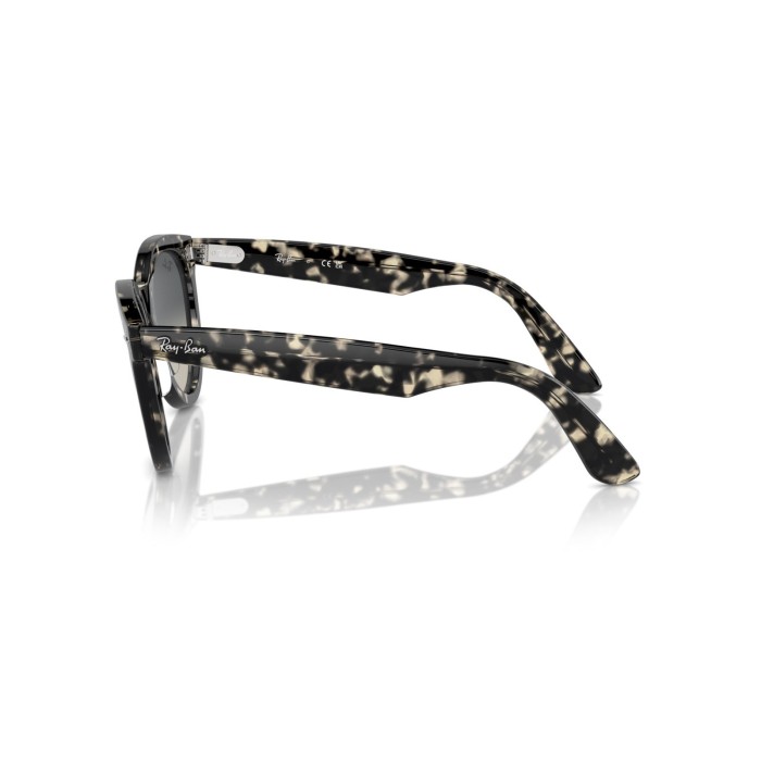 Wayfarer Way RB2241 133371
