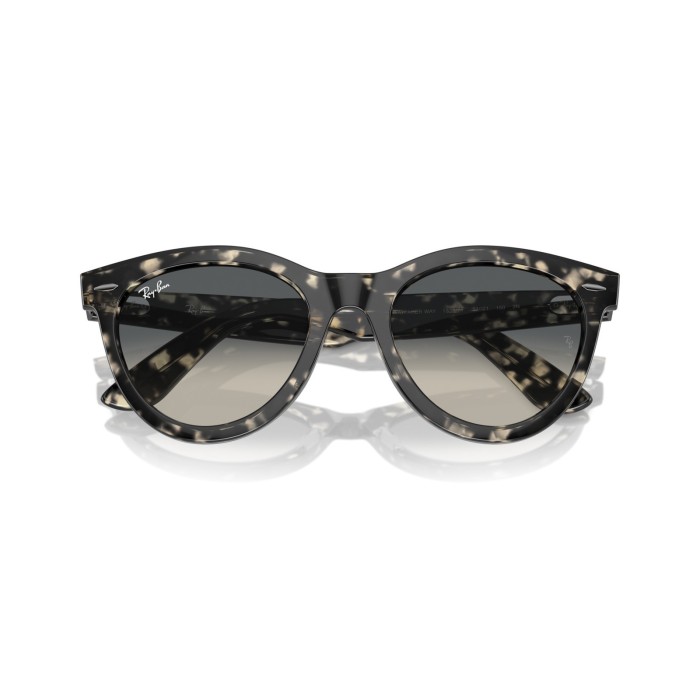 Wayfarer Way RB2241 133371
